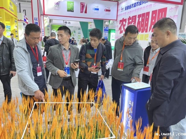 1729933068906184.jpg 小农人稻穗_副本.jpg