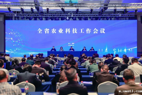 1731488041941201.png seo图1.png