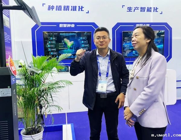 1733105777761673.jpg 5.jpg