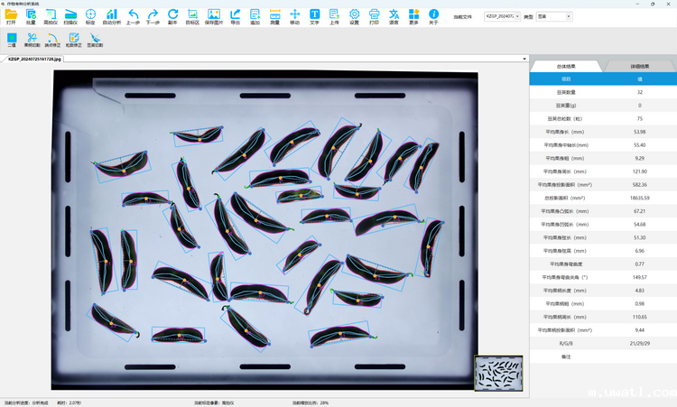 1. 豆荚表型测定 总结果.png