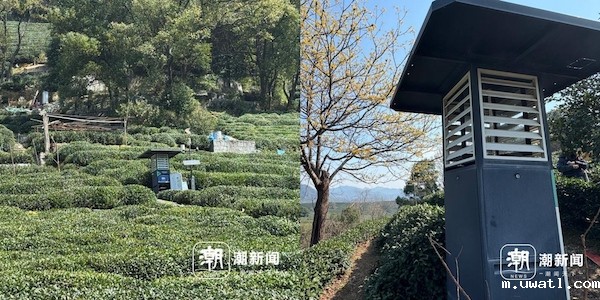 1742808121415758.jpg 5.jpg