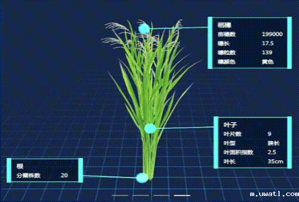 1743499424896839.png seo-4.png