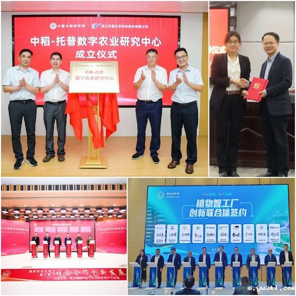 1744623159669102.jpg 5.jpg