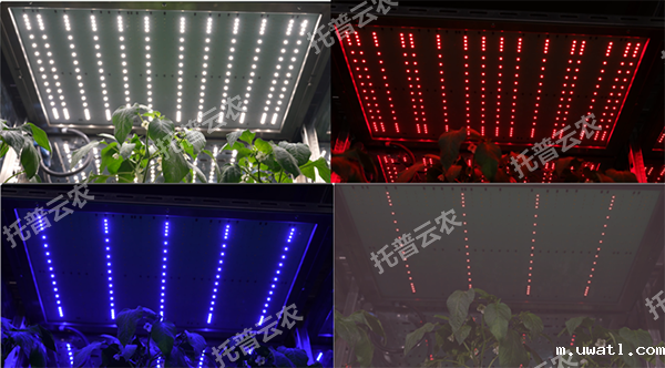 1744708253224731.png 图片2.png