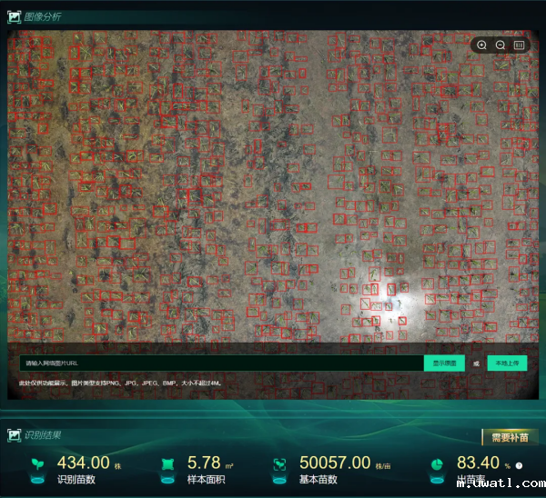 1744709800971786.png seo-6.png