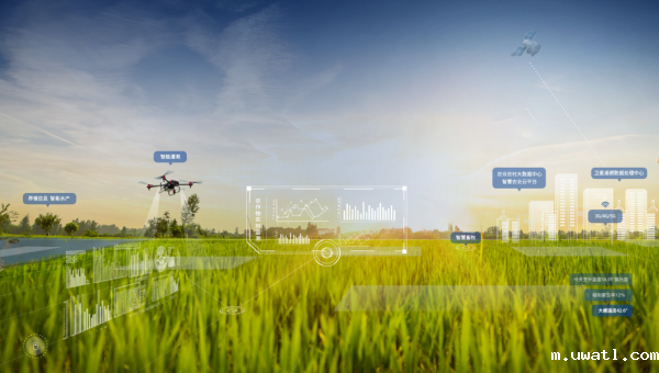 1745054159468604.png 图片2.png