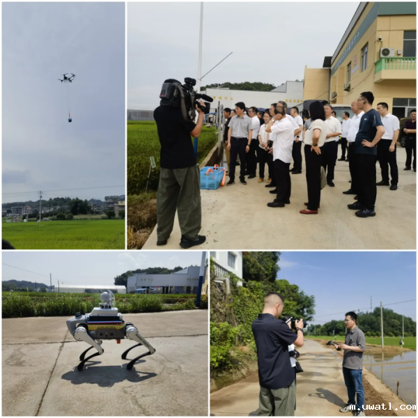 1751593350672919.png 图片7_副本.png