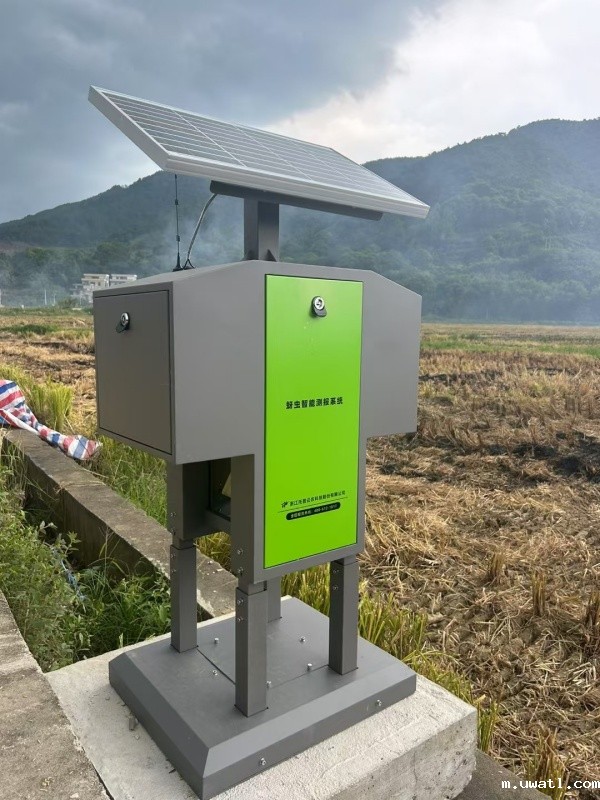 1754280261522711.jpg 麦田蚜虫布置照片_副本.jpg