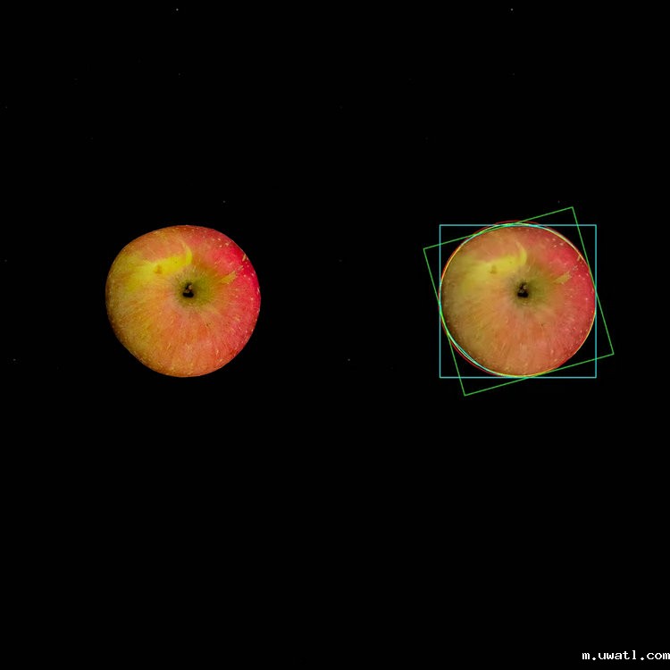 1764655223996350.jpg 苹果分析图1.JPG